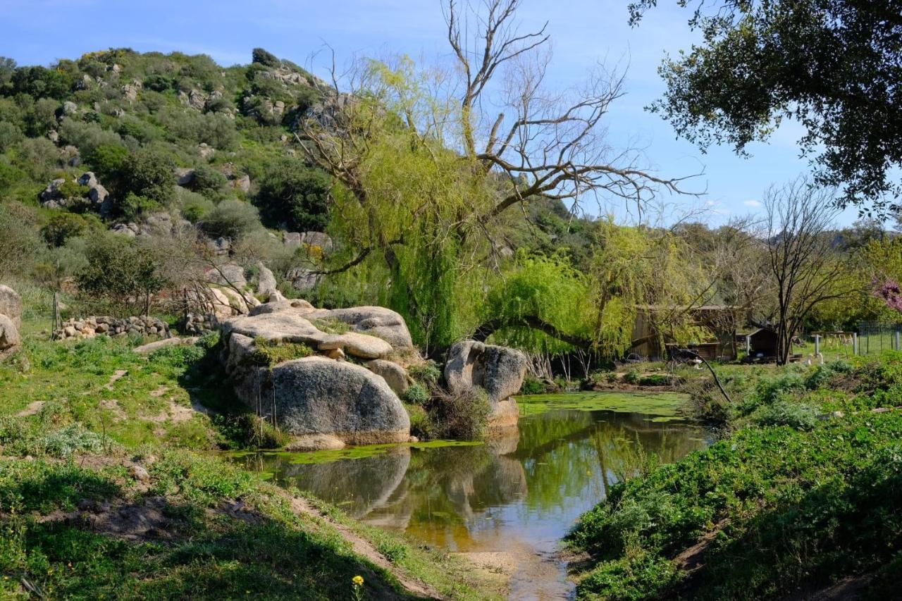 Il Nuraghe Del Lago Coghinas Oschiri ภายนอก รูปภาพ