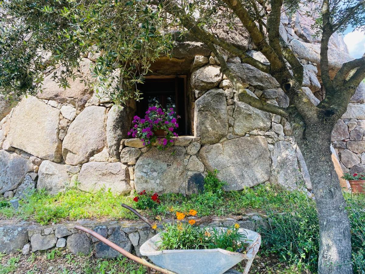 Il Nuraghe Del Lago Coghinas Oschiri ภายนอก รูปภาพ