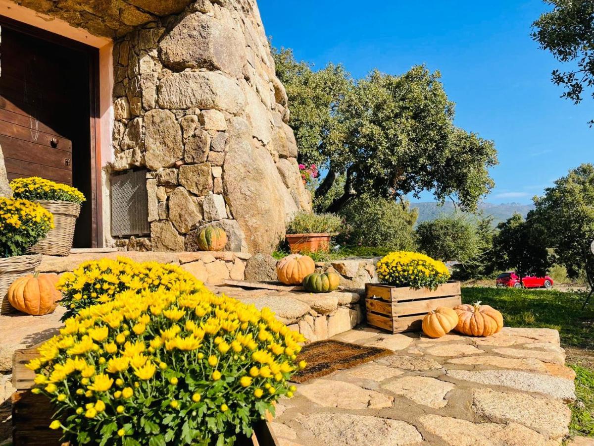 Il Nuraghe Del Lago Coghinas Oschiri ภายนอก รูปภาพ